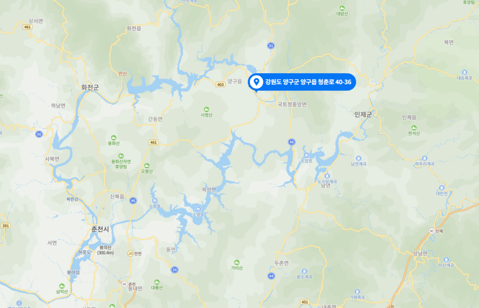 치엘로파스타 이미지