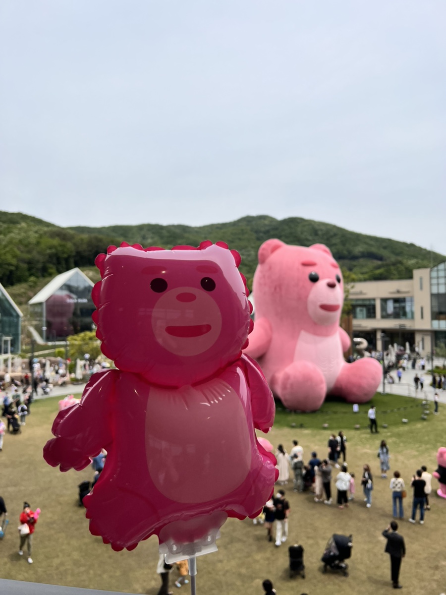 핑크벨리 이미지