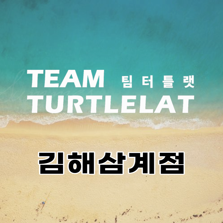 팀터틀랫김해 이미지