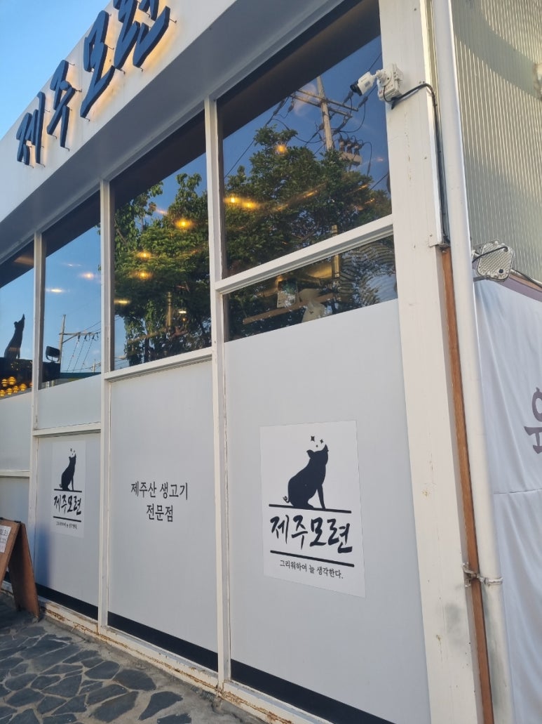 제주모련 이미지