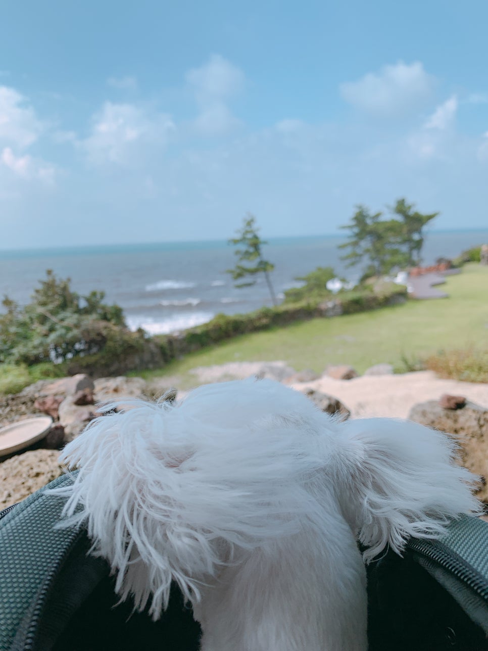 오누이김밥 이미지