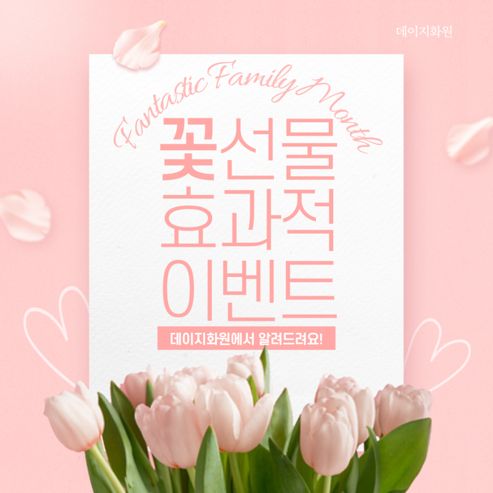데이지화원 이미지