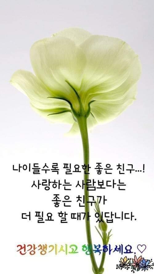 커피랜드 이미지