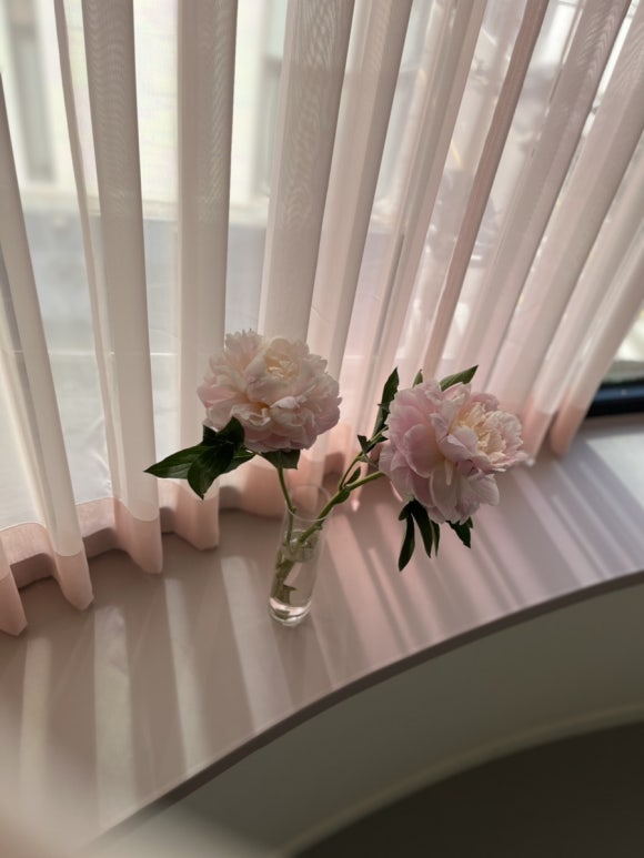 소노발레학원 이미지