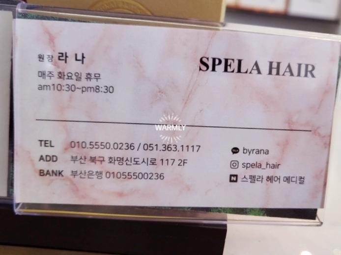 스펠라 헤어 메디컬 이미지