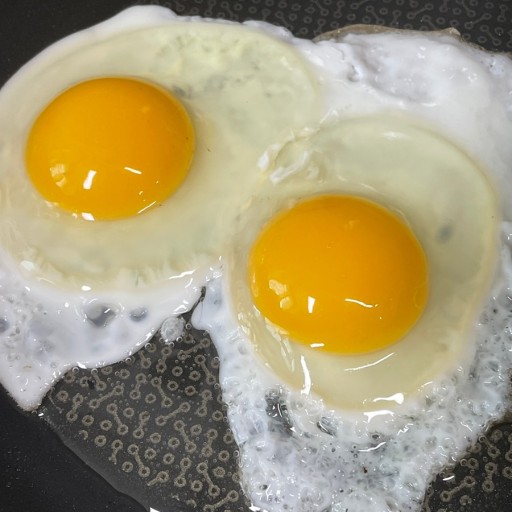 식수선 이미지