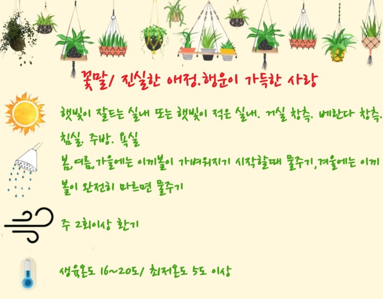 아이비상점 이미지