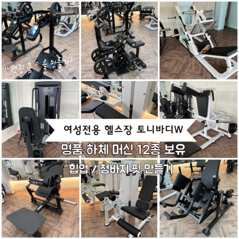 토니바디W 이미지
