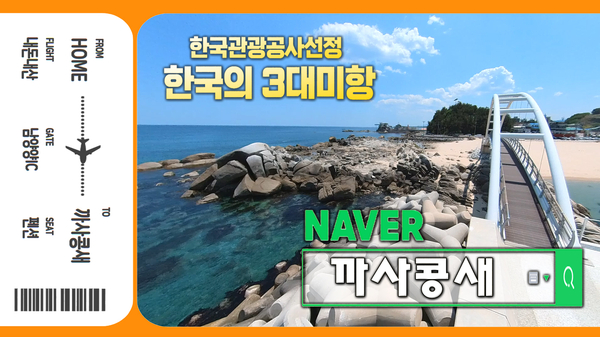 까사콩새 이미지