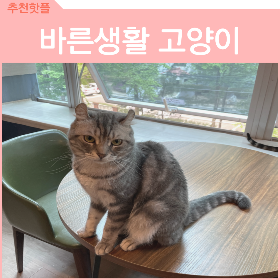 카페바른생활 이미지