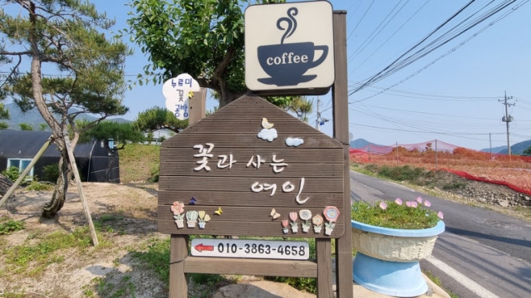 꽃과사는여인 이미지