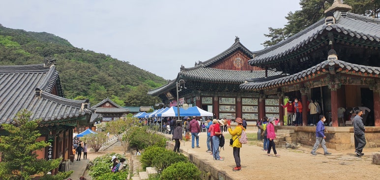 물푸레노래마을 이미지