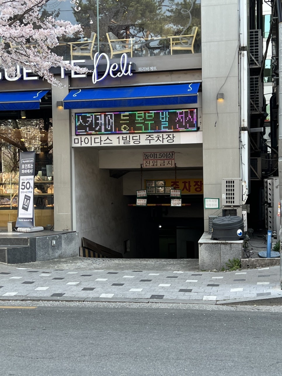 네일라움 이미지