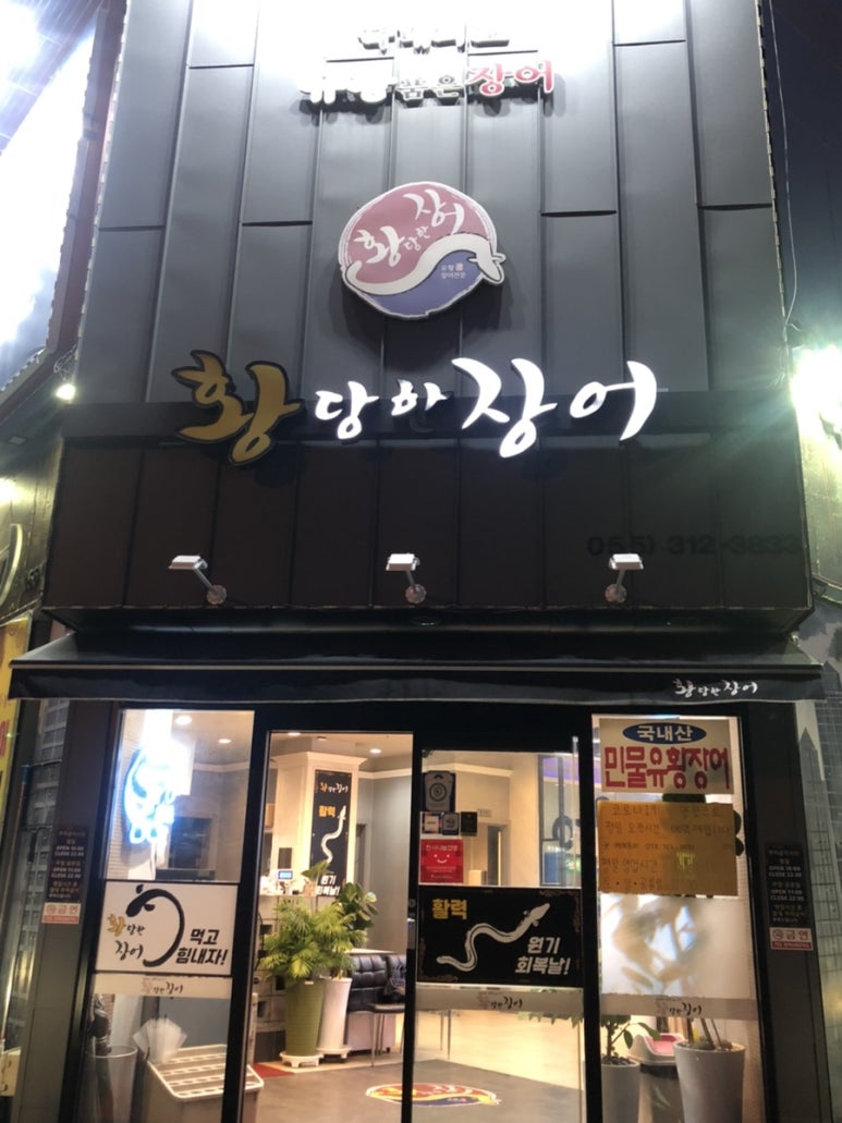 황당한장어 이미지
