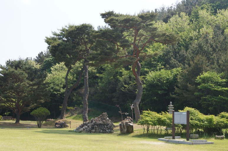 청주우암시니어클럽 이미지