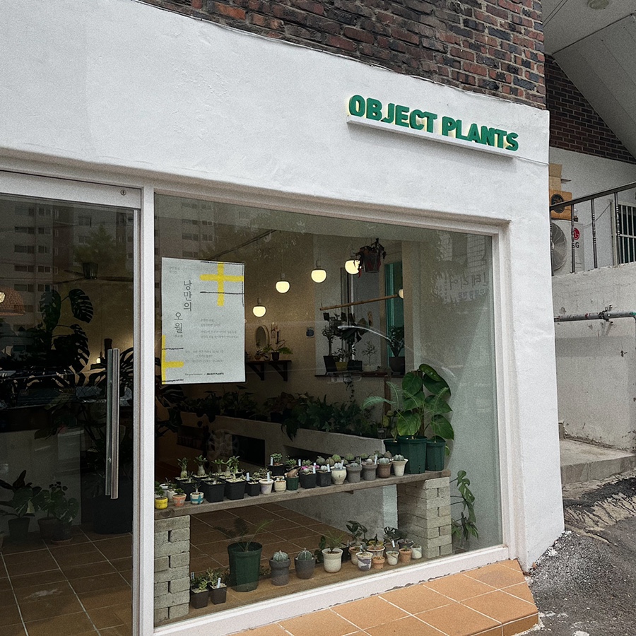 오브젝트플랜츠 이미지