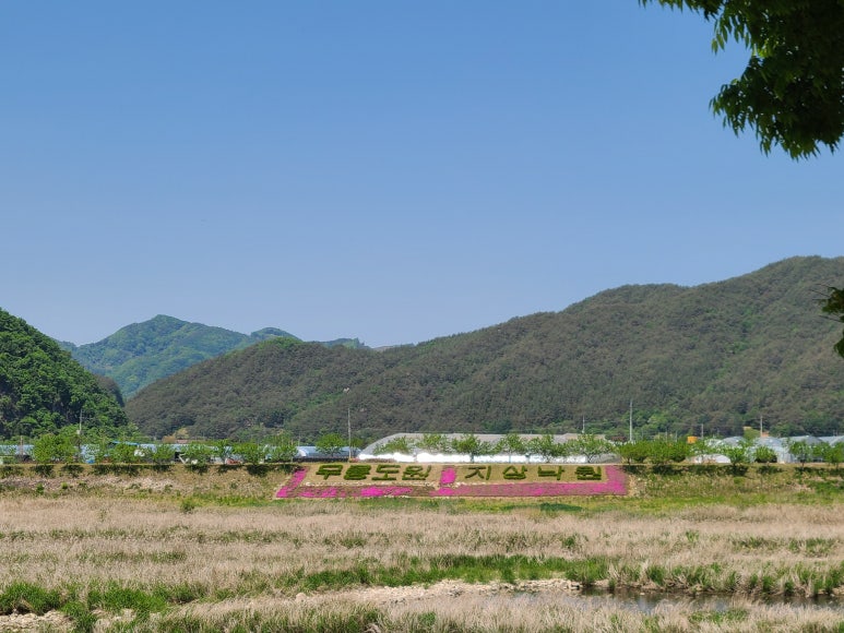 별이 빛나는 밤에 글램핑 이미지