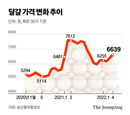 금란마트 이미지