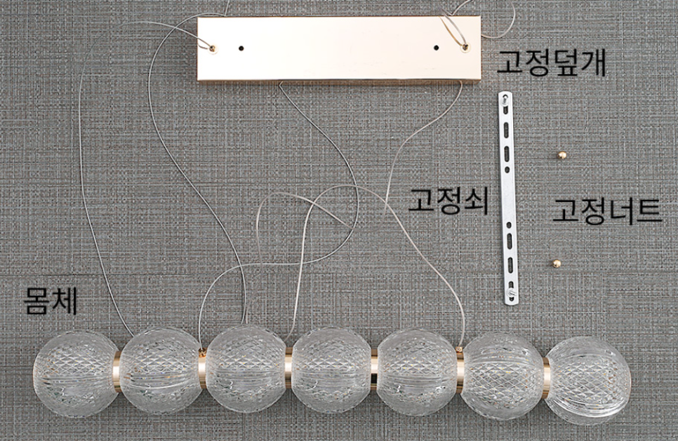 나비드 이미지