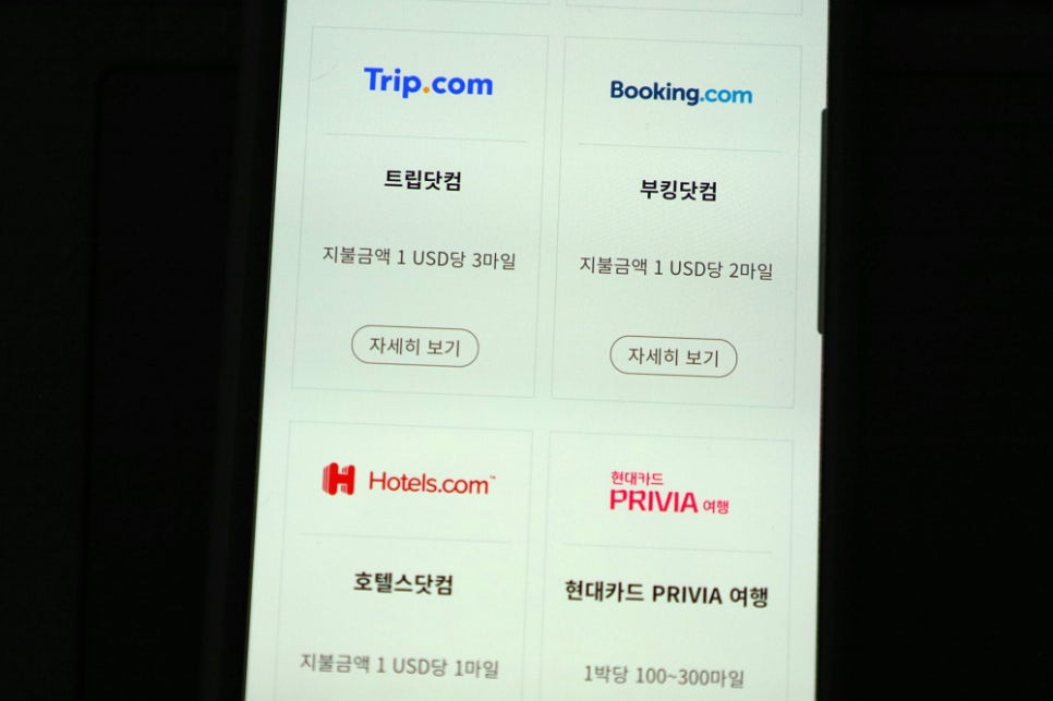 스카이항공투어 이미지