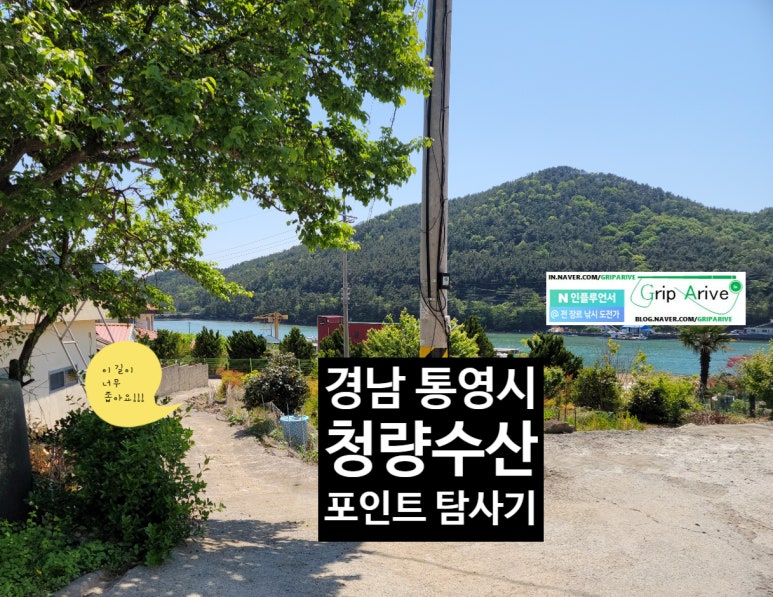 청량수산 이미지
