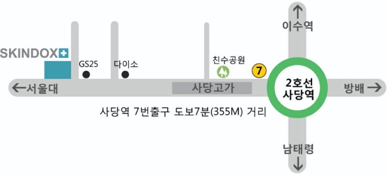 스킨독스 이미지