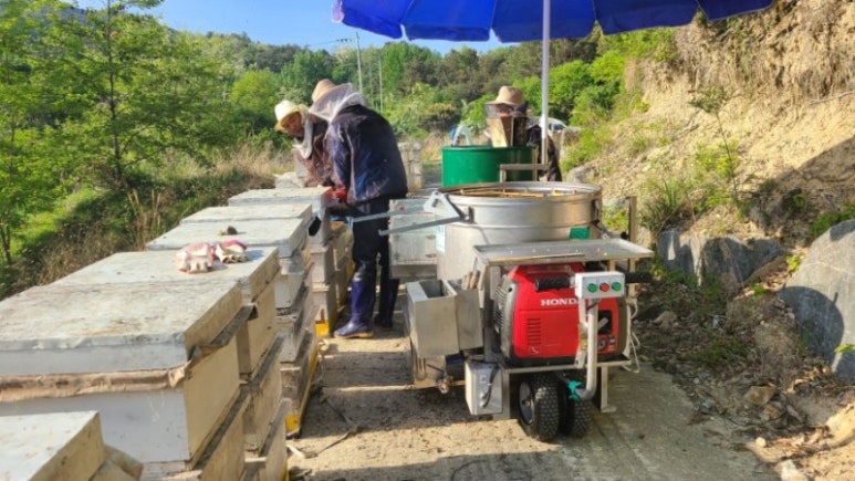 지리산 산청시골농장 이미지