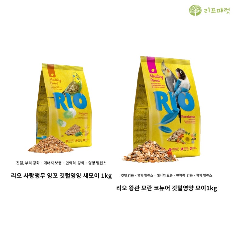 리프리오 이미지