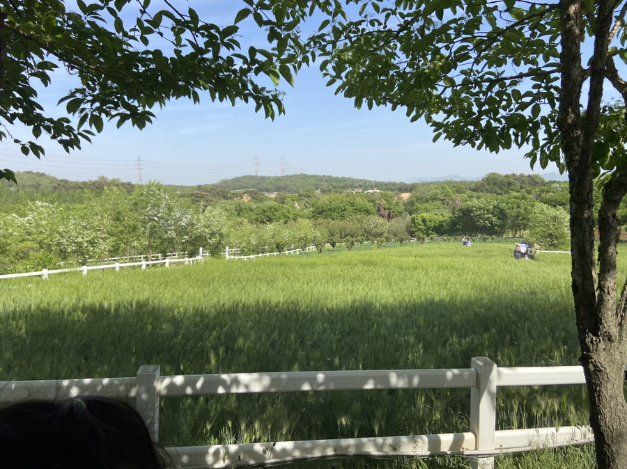 태신조경 이미지