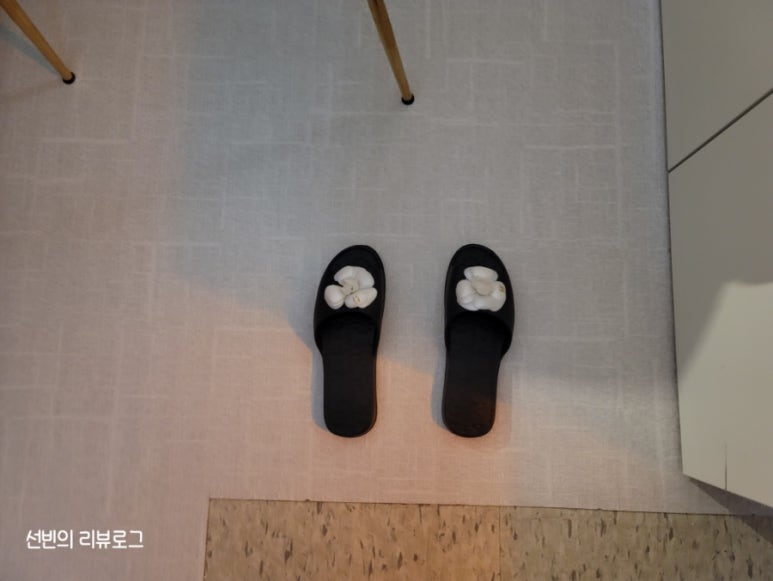 델라도테라 이미지