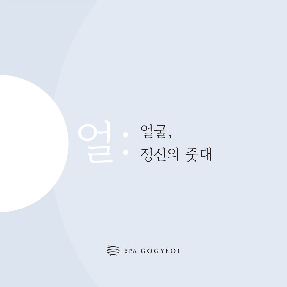 스파고결 이미지