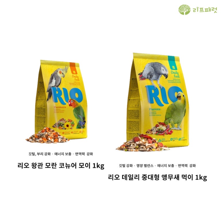 리프리오 이미지