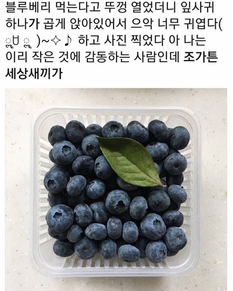 카페리베 이미지