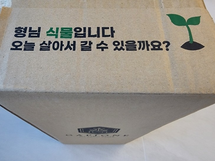 오렌지트리인테리어 이미지