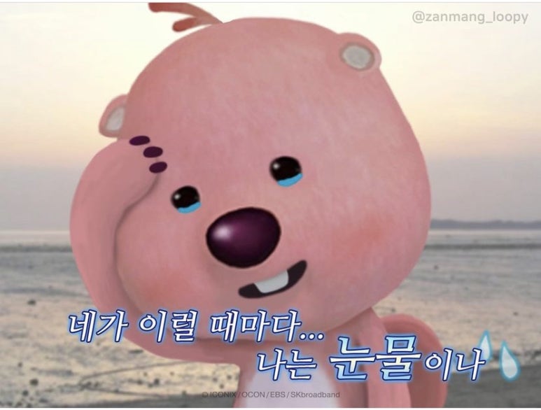 솔바람 야영장 이미지