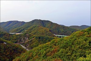 맑은다리 이미지