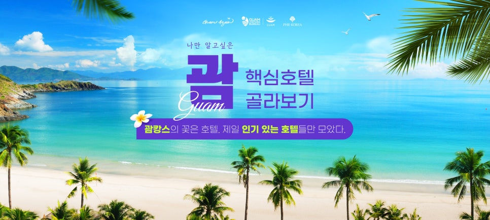 에이스투어 여행사 이미지
