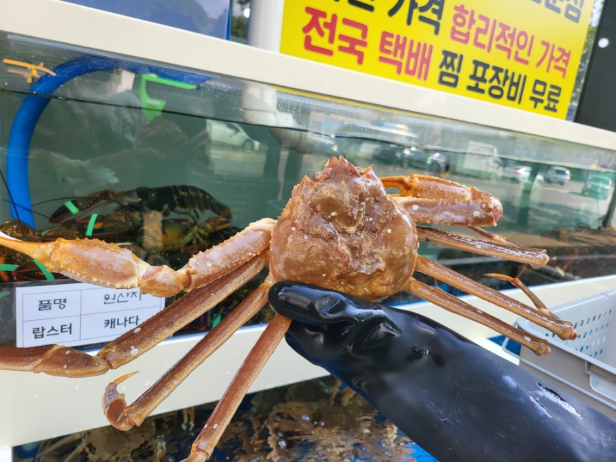 부평상회 이미지