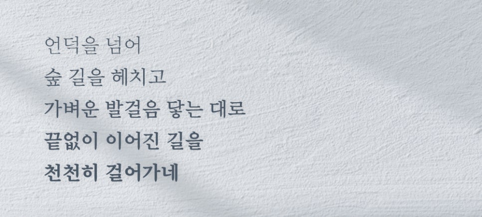디딤디자인 이미지