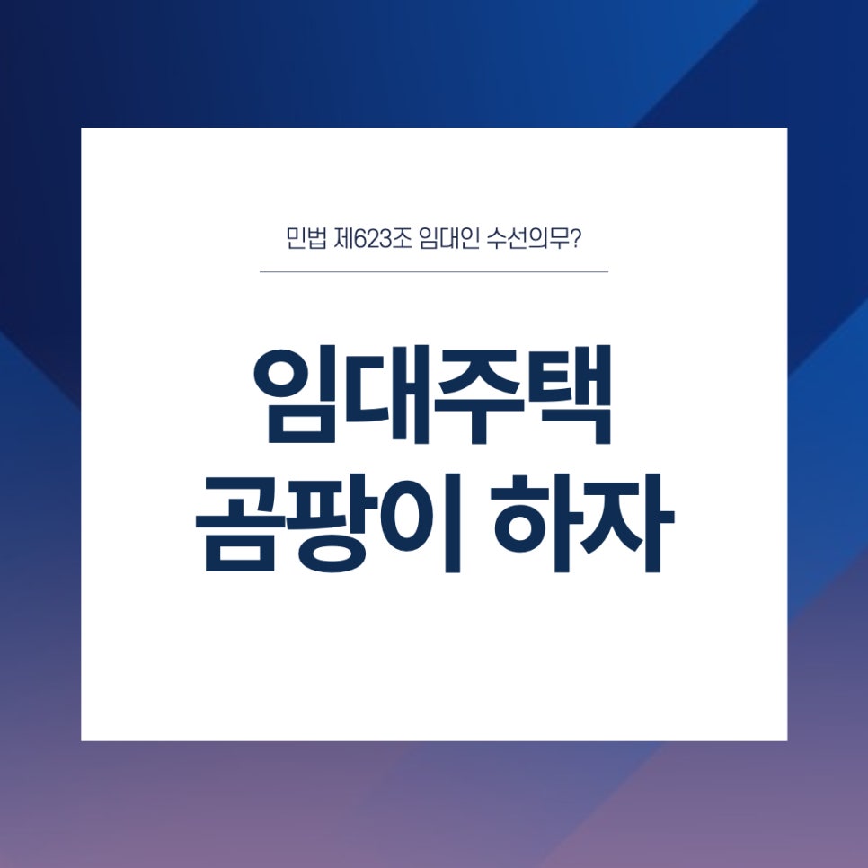 법무법인모악부안분사무소 이미지