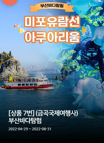 금곡국제여행사 이미지