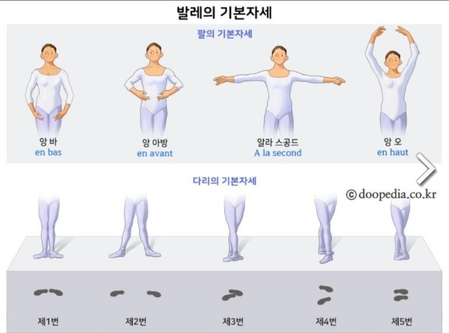발레루스발레학원 이미지