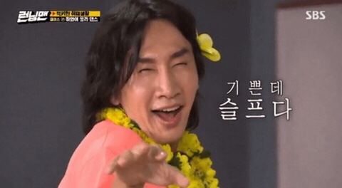 홀릭스그라운드 이미지