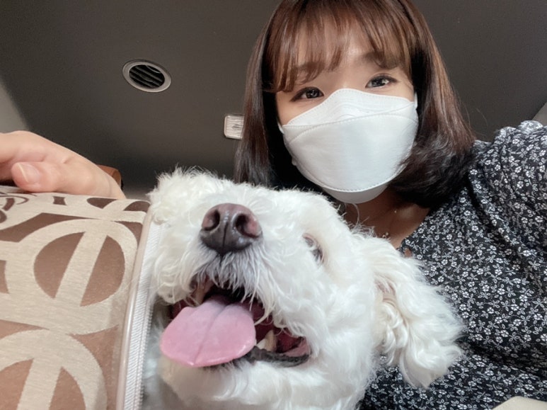 리쁘담 이미지