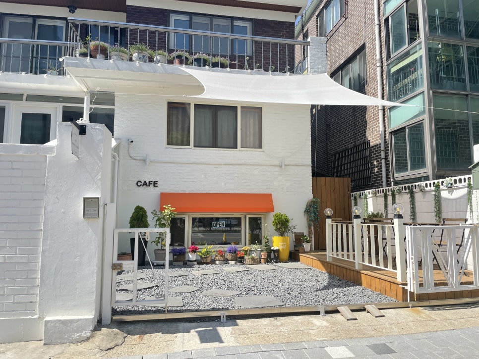 브리지선데이 이미지