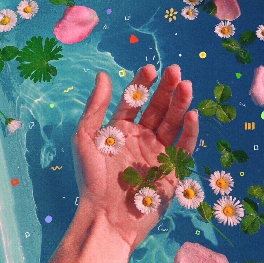 몬니 이미지
