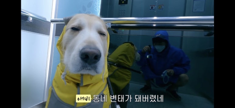 미유펍 이미지