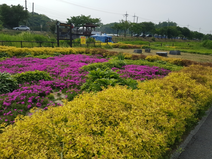 강남토지보상행정사사무소 이미지