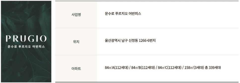 주식회사 피스피스 이미지