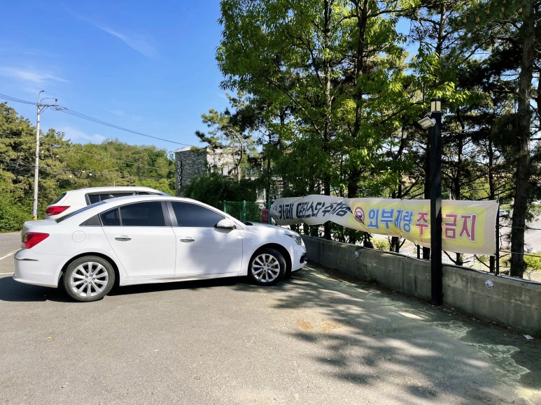 아르티스타 이미지